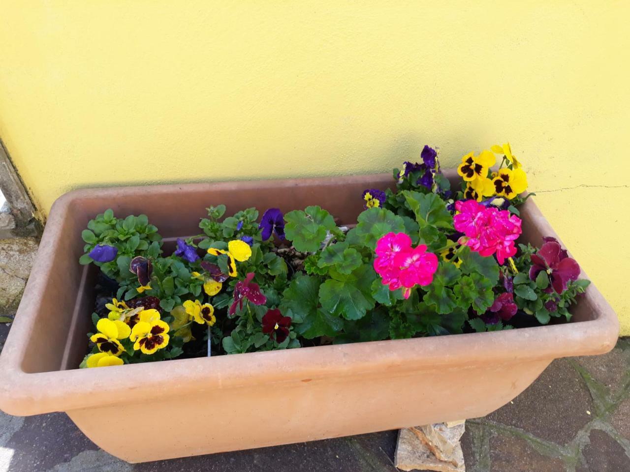 Apartmán Flowery House Řím Exteriér fotografie