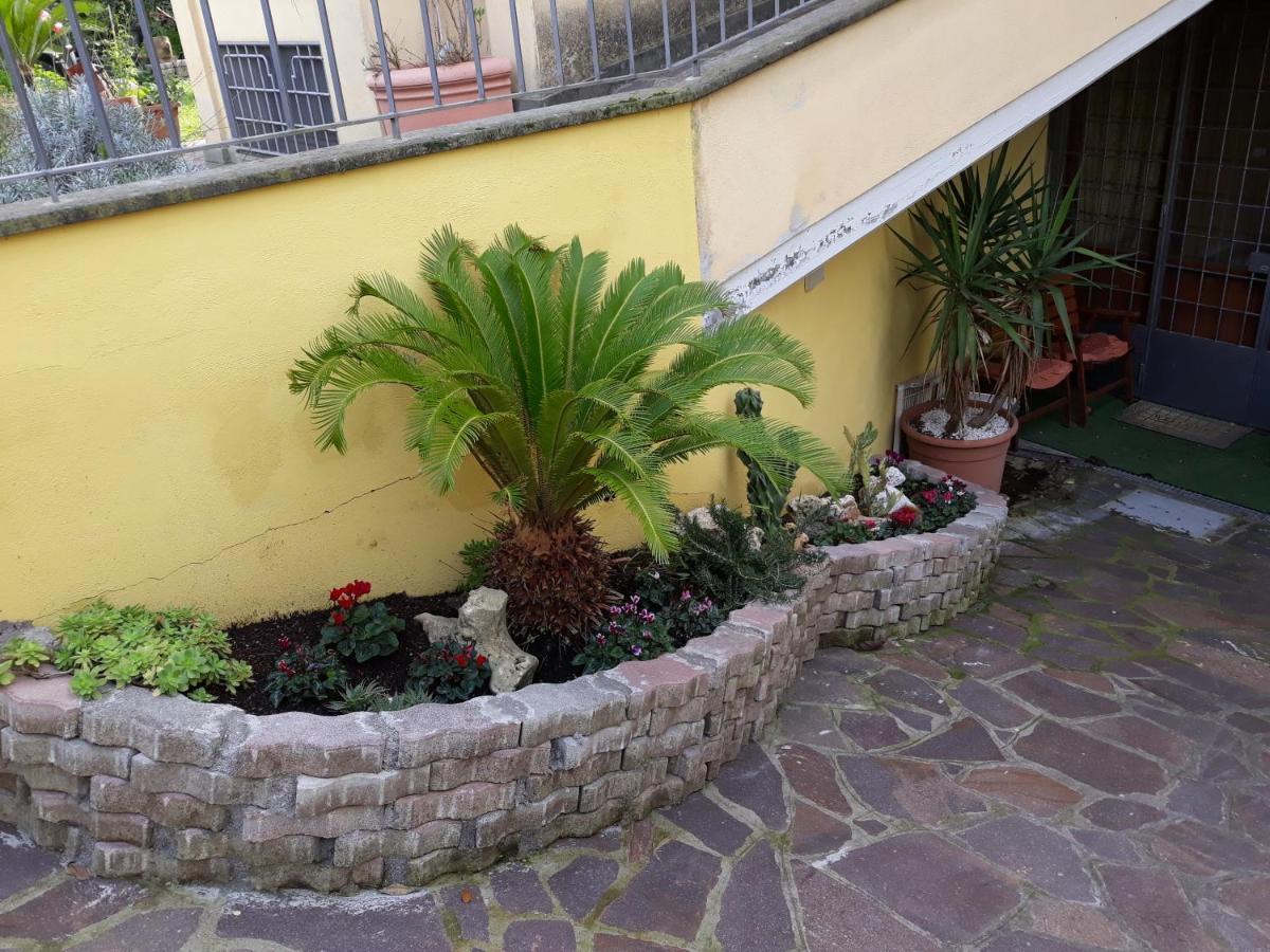 Apartmán Flowery House Řím Exteriér fotografie